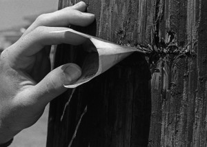 A check embedded into a wooden pole by the Elgin F4. (NWS/Patrick C. Miller)