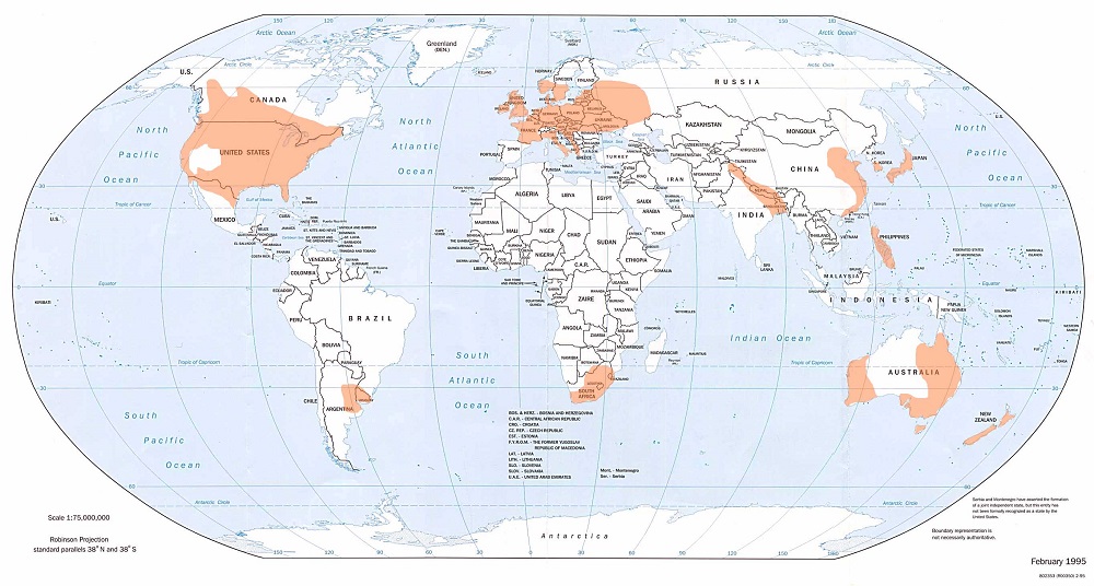 From domestic to international: Tornadoes around the world